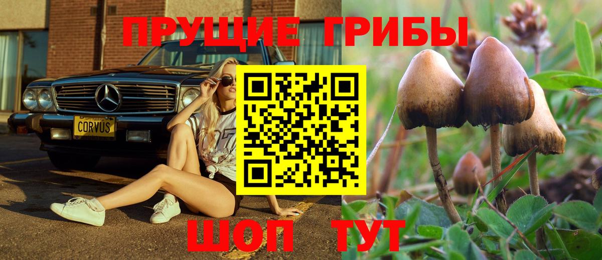Псилоцибиновые грибы ЛСД Южноуральск